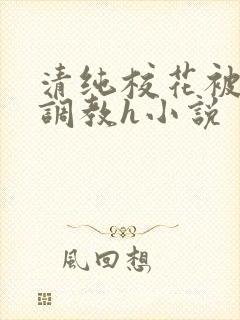 清纯校花被地狱调教h小说