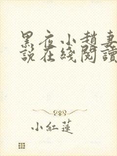 黑夜小赵妻子小说在线阅读