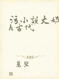 污小说大奶子高h古代封面