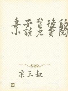 妻子背后的秘密小说免费阅读封面