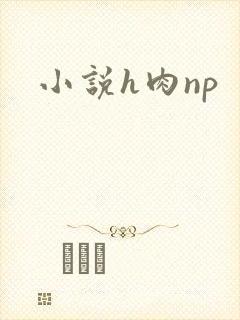 小说h肉np封面