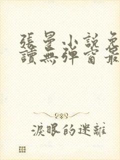 张曼小说免费阅读无弹窗最新章节