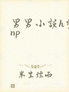 男男小说h双性np