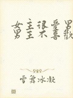 女主很爱男主但男主不喜欢她的小说封面