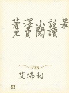 萧泽小说最新版免费阅读