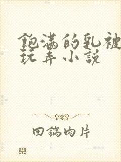 饱满的乳被揉捏玩弄小说