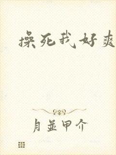 操死我好爽想要封面