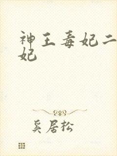神王毒妃二嫁王妃封面
