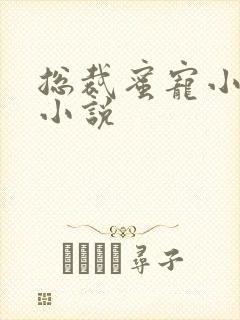 总裁蜜宠小娇妻小说