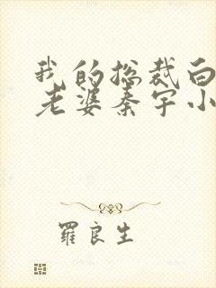 我的总裁白富美老婆秦宇小说最新章节在线