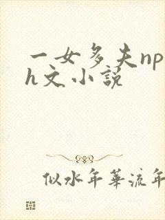 一女多夫np文h文小说