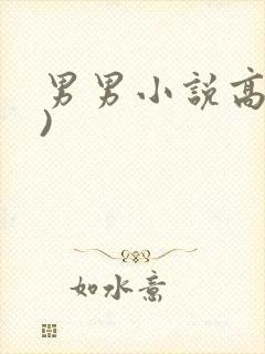 男男小说高(h)