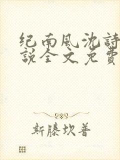 纪南风沈诗澜小说全文免费阅读封面