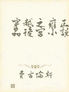 穿越之雍正的极品后宫小说