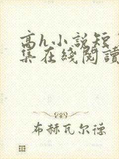 高h小说短篇合集在线阅读