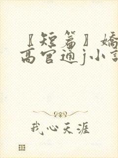 〖短篇〗娇妻与高官通j小说封面