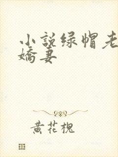 小说绿帽老公俏娇妻