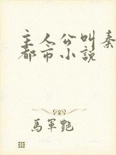 主人公叫秦昊的都市小说封面