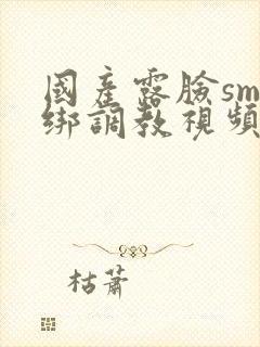 国产露脸sm捆绑调教视频