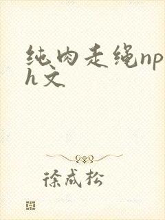 纯肉走绳np高h文