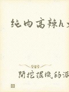 纯肉高辣h文