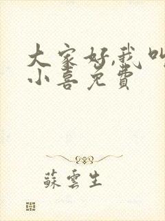 大家好,我叫林小喜免费封面