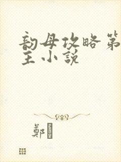 韵母攻略第一版主小说封面