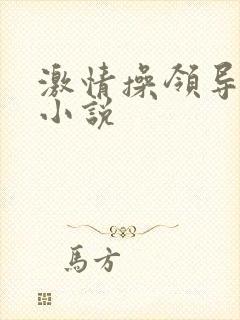 激情操领导少妇小说