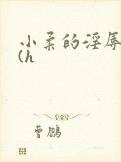 小柔的淫辱日记(h