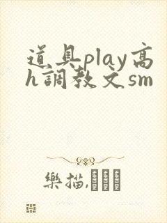 道具play高h调教文sm