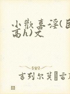 小欢喜淫(巨肉高h)文