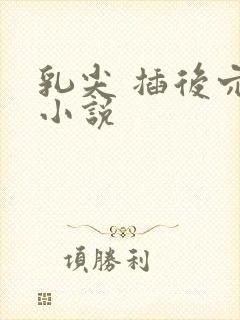 乳尖 插后穴 小说