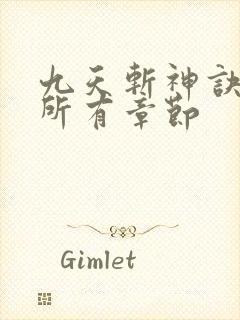 九天斩神诀林辰所有章节