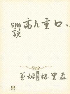 sm高h重口小说封面