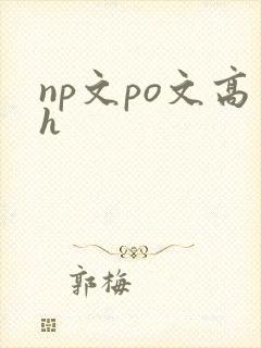 np文po文高h