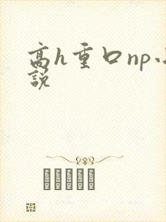 高h重口np小说