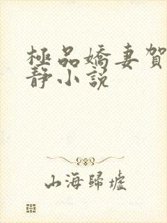 极品娇妻贺海白静小说