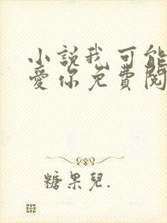 小说我可能不会爱你免费阅读