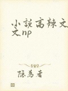 小说高辣文高h文np