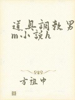 道具调教男男sm小说h