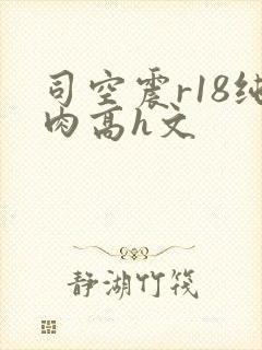 司空震r18纯肉高h文