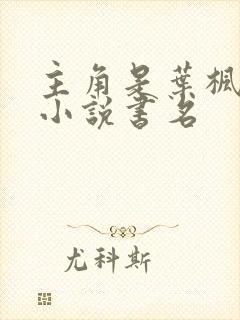 主角是叶枫都市小说书名