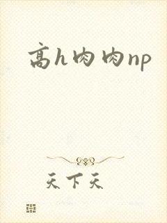 高h肉肉np