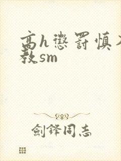 高h惩罚慎入调教sm