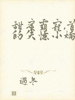 甜蜜霸宠,首席的失忆小娇妻