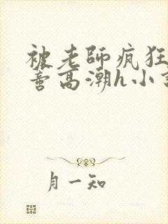 被老师疯狂揉肉蒂高潮h小说