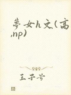 梦女h文(高h,np)