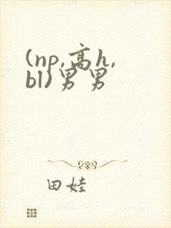 (np,高h,bl)男男