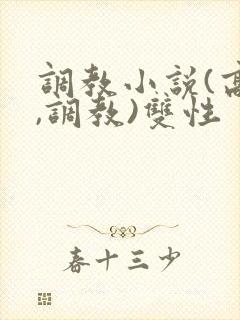 调教小说(高h,调教)双性