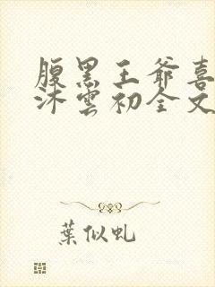 腹黑王爷喜当爹沐云初全文免费阅读